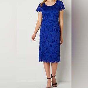 Perceptions New York Dress Size 6 Petite NWT
